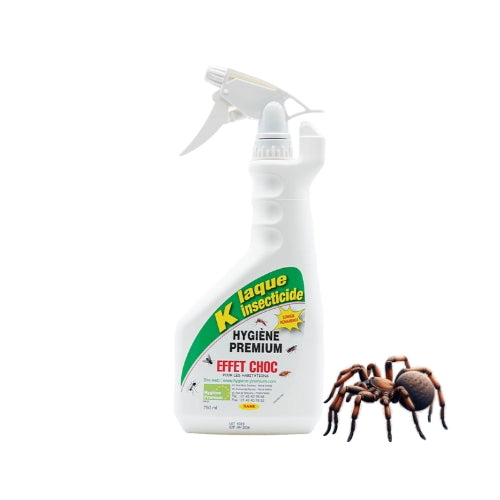 K Laque - Insecticide Professionnel Ultra-Efficace pour araignées