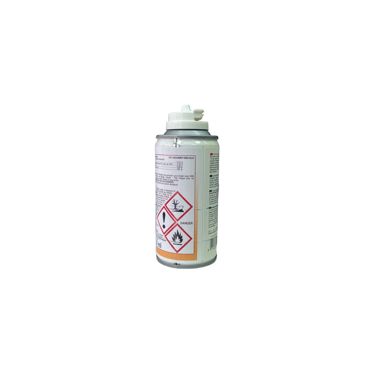 Aérosol Insecticide 150 ml : Traitement Efficace Contre les Insectes du bois
