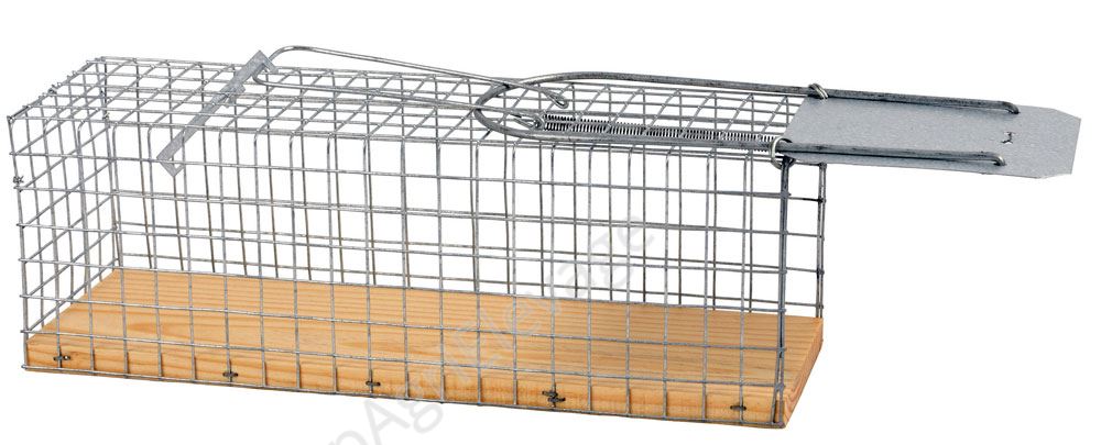 Lot de 2 Nasses à Rats : Piège Efficace pour Capturer et Eliminer les Rats
