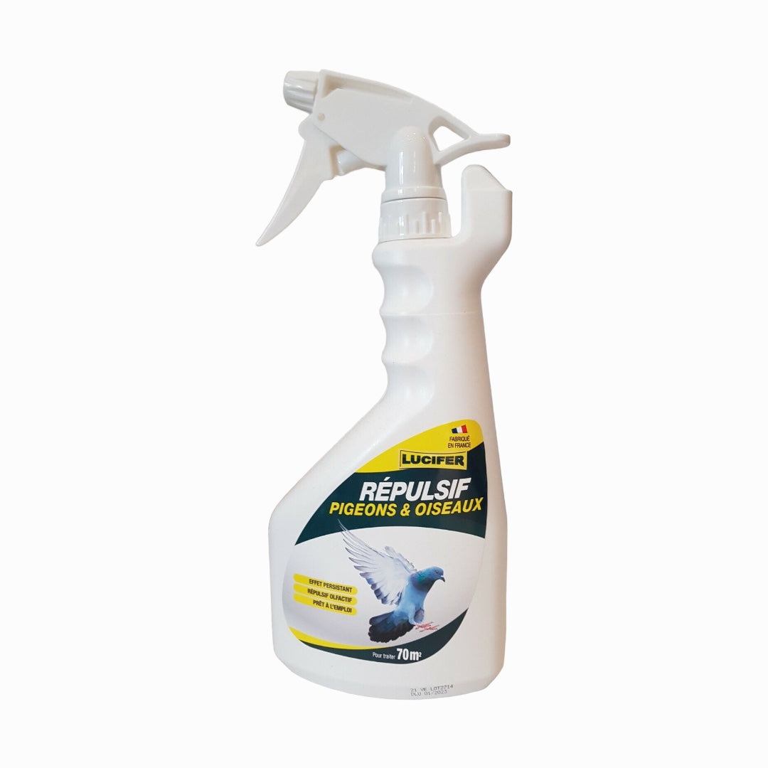 Répulsif Pigeons et Oiseaux : Solution Efficace et Naturelle
