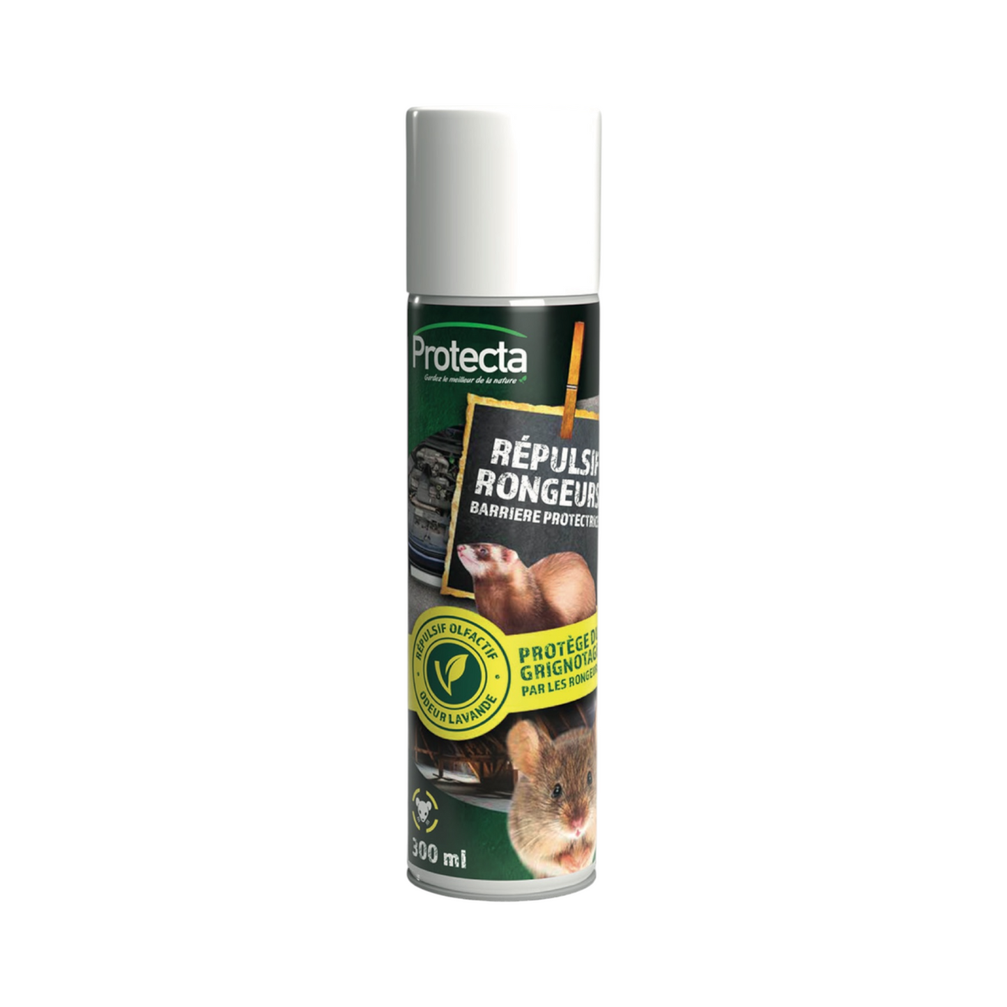 Répulsif Anti Rongeurs Naturel et Efficace