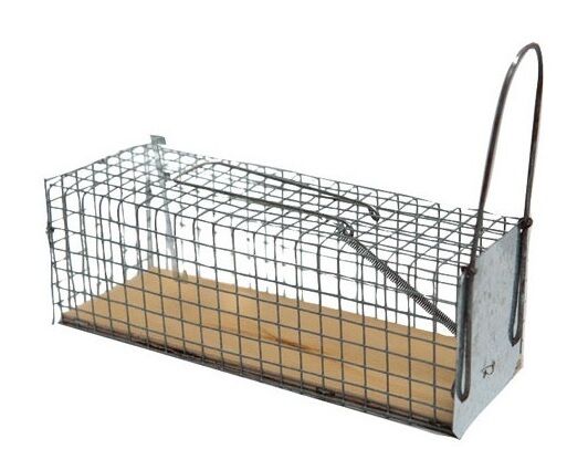 Nasse à Rats : Piège Efficace pour Capturer et Eliminer les Rats