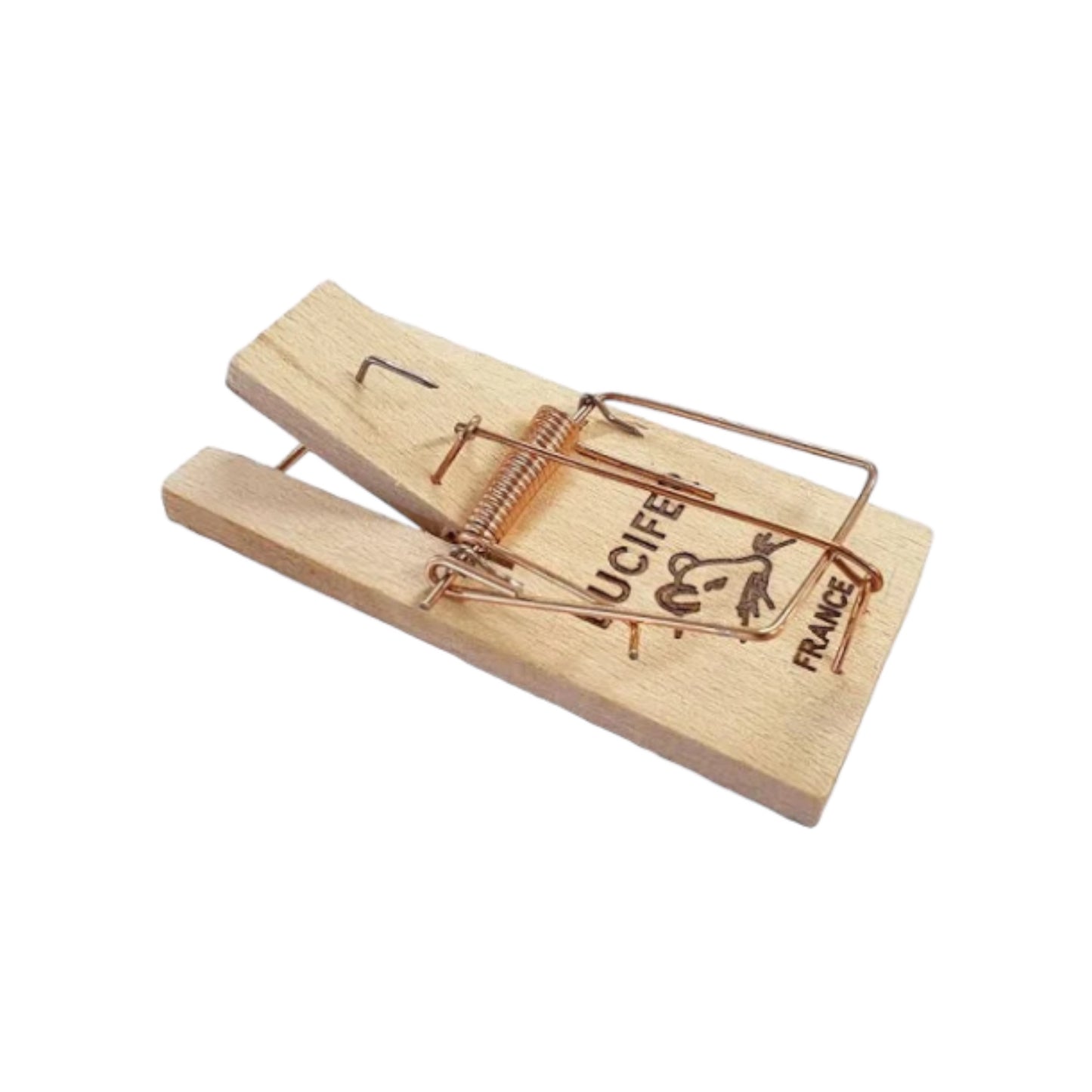 Piège à Rat Tapette : Solution Efficace pour Éliminer les Rats