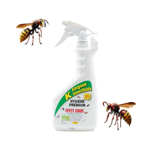 K Laque - Insecticide Professionnel Ultra-Efficace pour guêpes et frelons