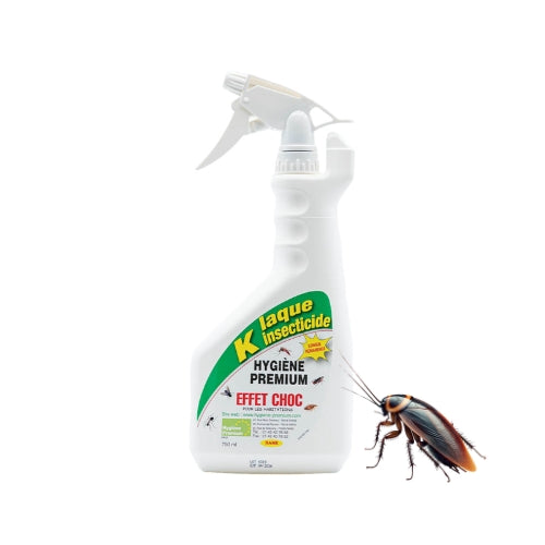 K Laque - Insecticide Professionnel Ultra-Efficace pour cafards et blattes