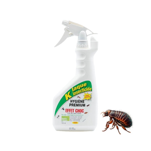 K Laque - Insecticide Professionnel Ultra-Efficace pour puces