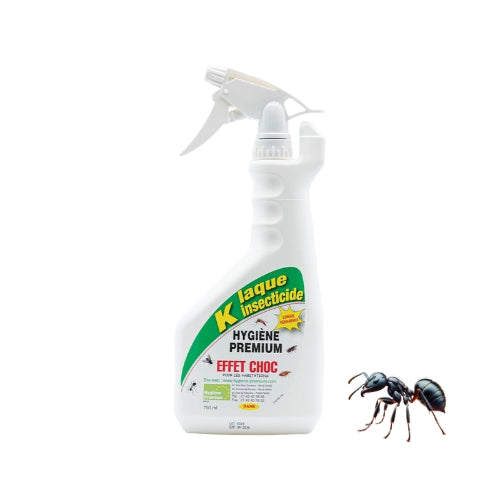 K Laque - Insecticide Professionnel Ultra-Efficace pour fourmis