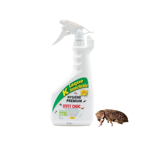 K Laque - Insecticide Professionnel Ultra-Efficace pour insectes du bois (xylophages et autres vrillettes)