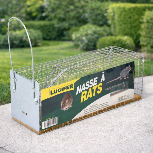 Nasse à Rats : Piège Efficace pour Capturer et Eliminer les Rats