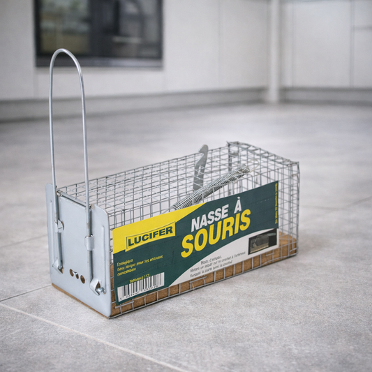 Cage à Souris : Solution Efficace pour Capturer les Souris en Toute Sécurité