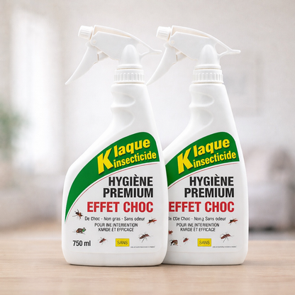 Lot de 2 K Laques - Insecticide Professionnel Ultra-Efficace pour Insectes Volants et Rampants