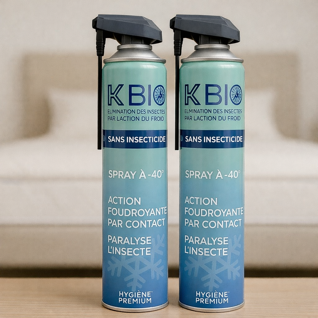 Lot de 2 Sprays 100% Naturel K Bio - Tue Instantanément Les Nuisibles Rampants et Volants par le Froid - Bombe par cryogénie à -40
