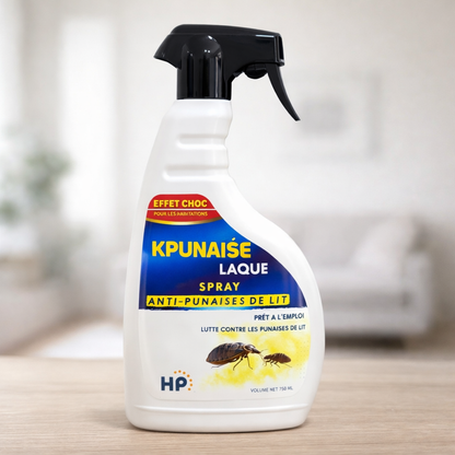 Lot de 2 Laques Anti-Punaises : Traitement Efficace et Rapide Contre les Punaises de Lit - Produit Professionnel