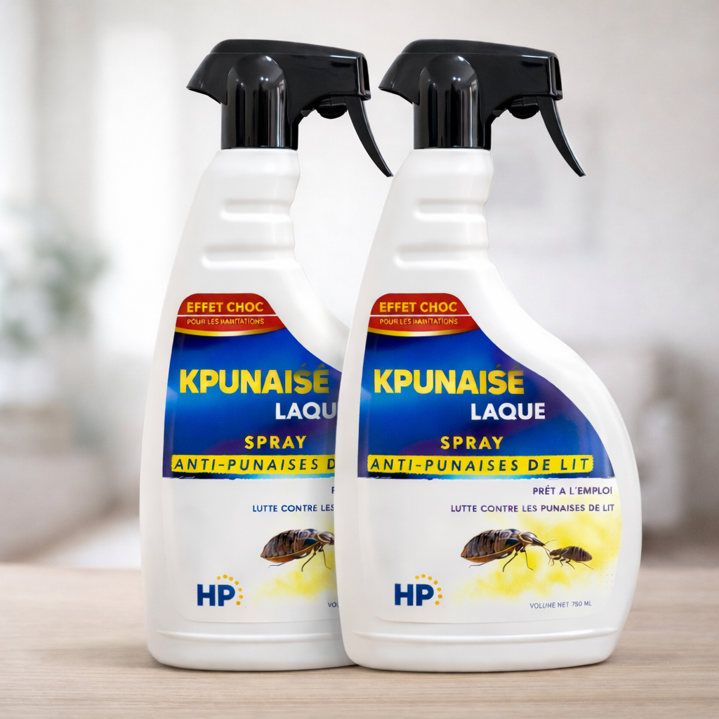 Lot de 2 Laques Anti-Punaises : Traitement Efficace et Rapide Contre les Punaises de Lit - Produit Professionnel
