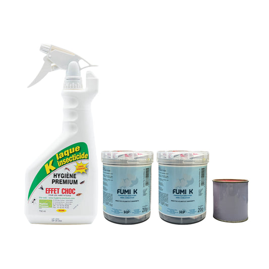 Pack professionnel anti insectes de bois