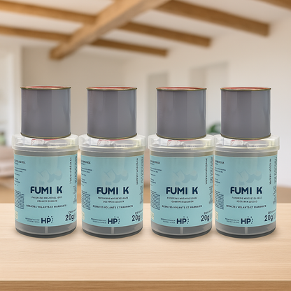 Lot de 4 fumigateurs insecticides FUMI K 20G