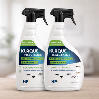Lot de 2 K Laques - Insecticide Professionnel Ultra-Efficace pour Insectes Volants et Rampants