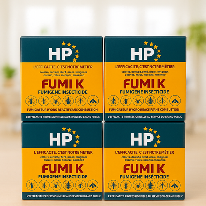 Lot de 4 fumigateurs insecticides FUMI K 15G